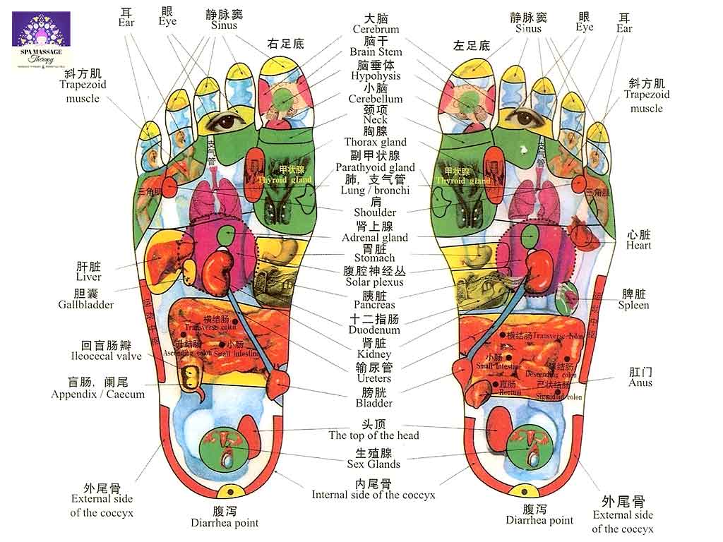 Lay Spa Massage Therapist Indonesia