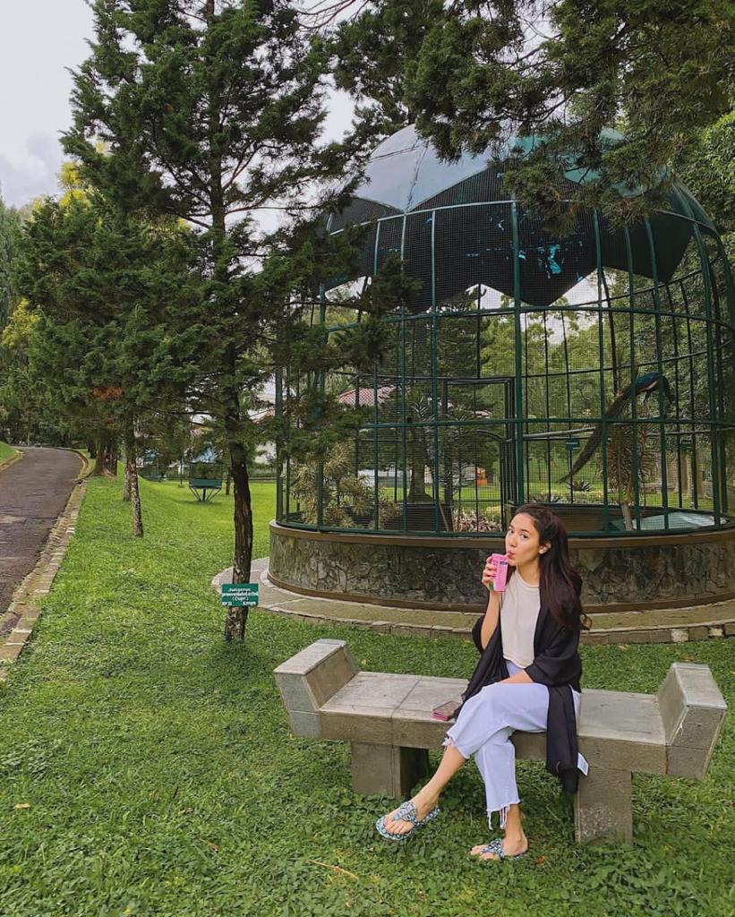 Jasa Pijat Panggilan Pangkal Pinang 24 Jam 081388209010 I Spa Good